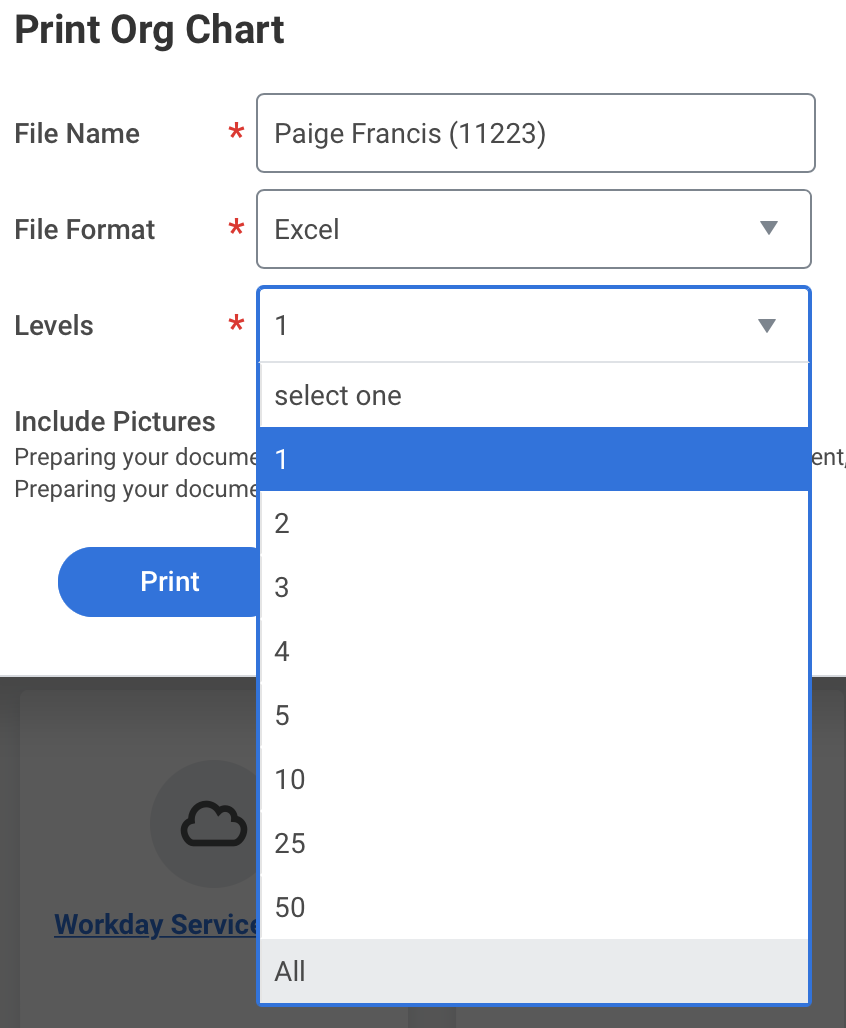 Workday Print an Org Chart